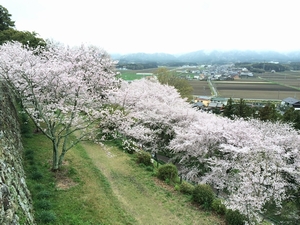 田丸城跡